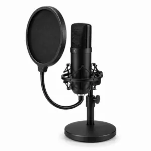 ClearVoice Studio Mic