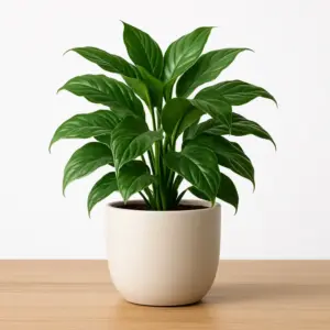 GreenNest Urban Jungle