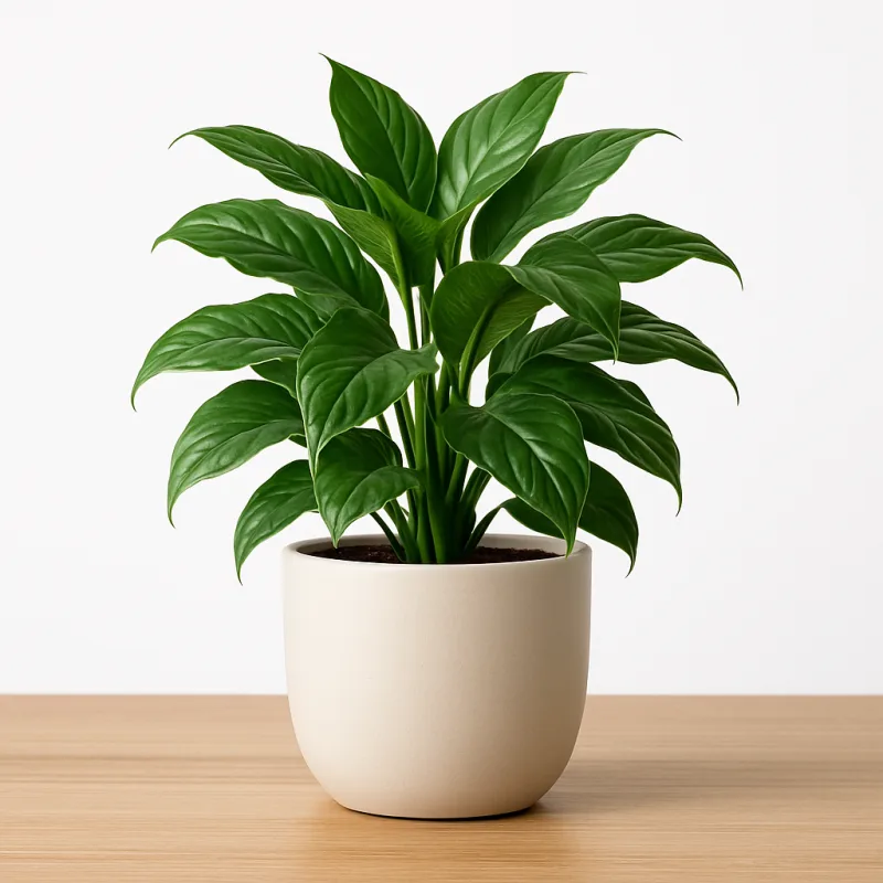 GreenNest Urban Jungle