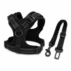 PlayFetch Wurfspielzeug-Set
