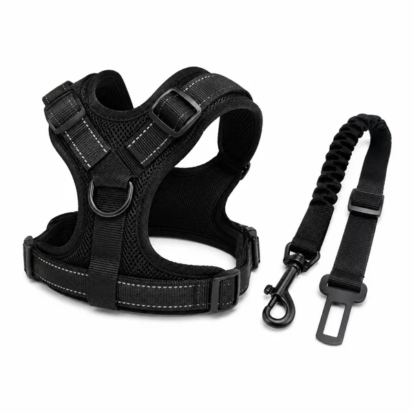 PlayFetch Wurfspielzeug-Set