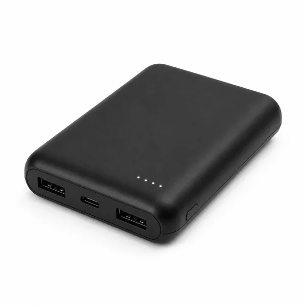 PowerGo Powerbank 10000