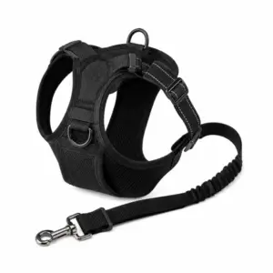 SafeRide Hunde-Sicherheitsgurt