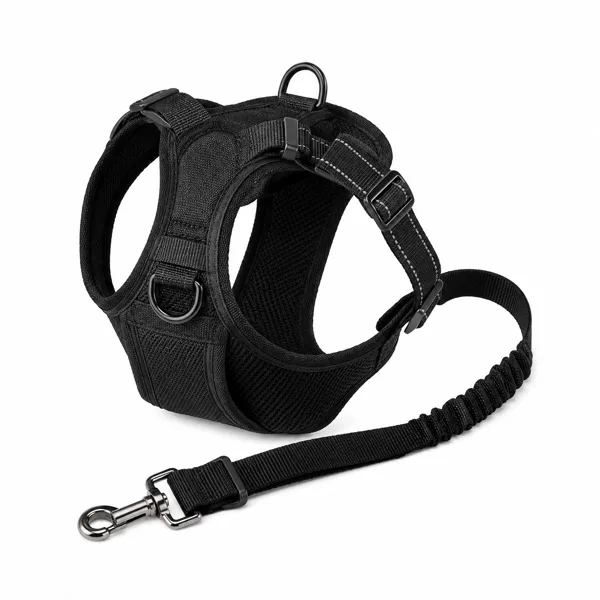 SafeRide Hunde-Sicherheitsgurt